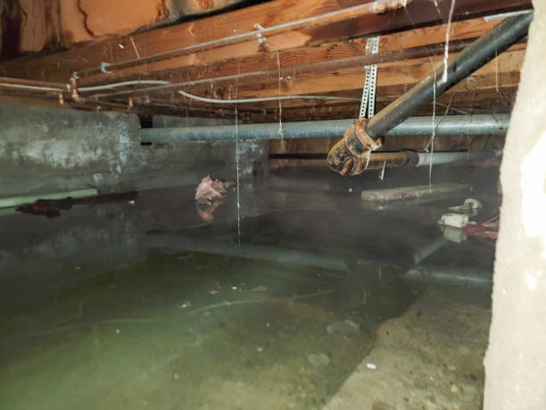 Water damage restoration mold remediation in IN