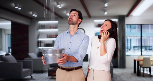 Best Ceiling water damage repair  in Goodland, IN